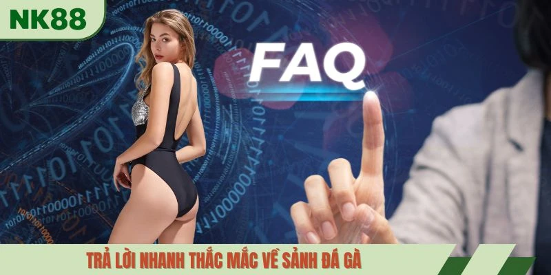 Trả lời nhanh thắc mắc về sảnh đá gà